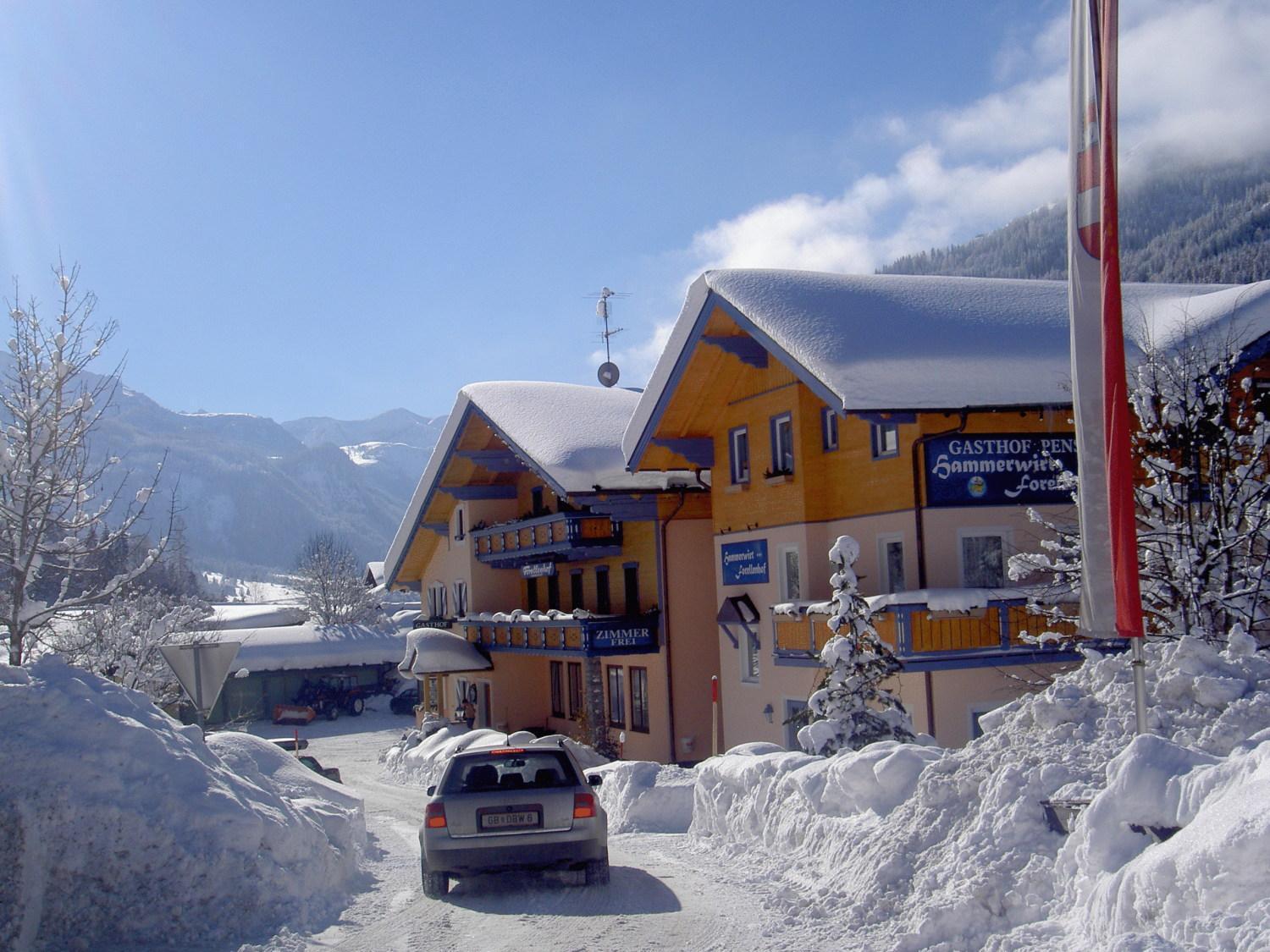 Hotel Hammerwirt - Forellenhof Untertauern Exteriör bild